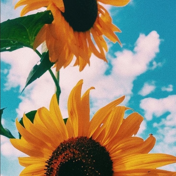 Meet your Posher, G - Picture 1 of 1